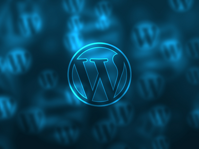 WordPress Developer